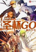木叶之圣杯GO