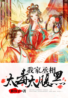 我家丞相太毒太腹黑